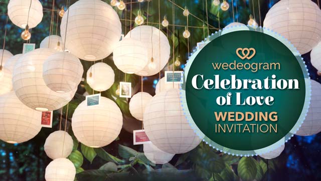 celebration of love wedding wedding invitation video