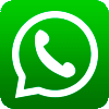 WhatsApp icon