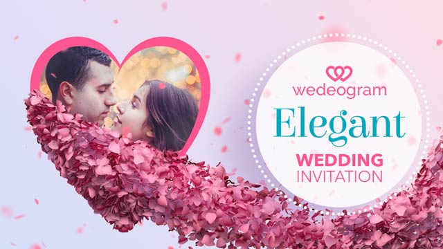 elegant-wedding-video